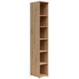 REGAL Eiche Artisan  - Anthrazit/Eiche Artisan, MODERN, Holzwerkstoff/Kunststoff (30/195/40cm) - Carryhome