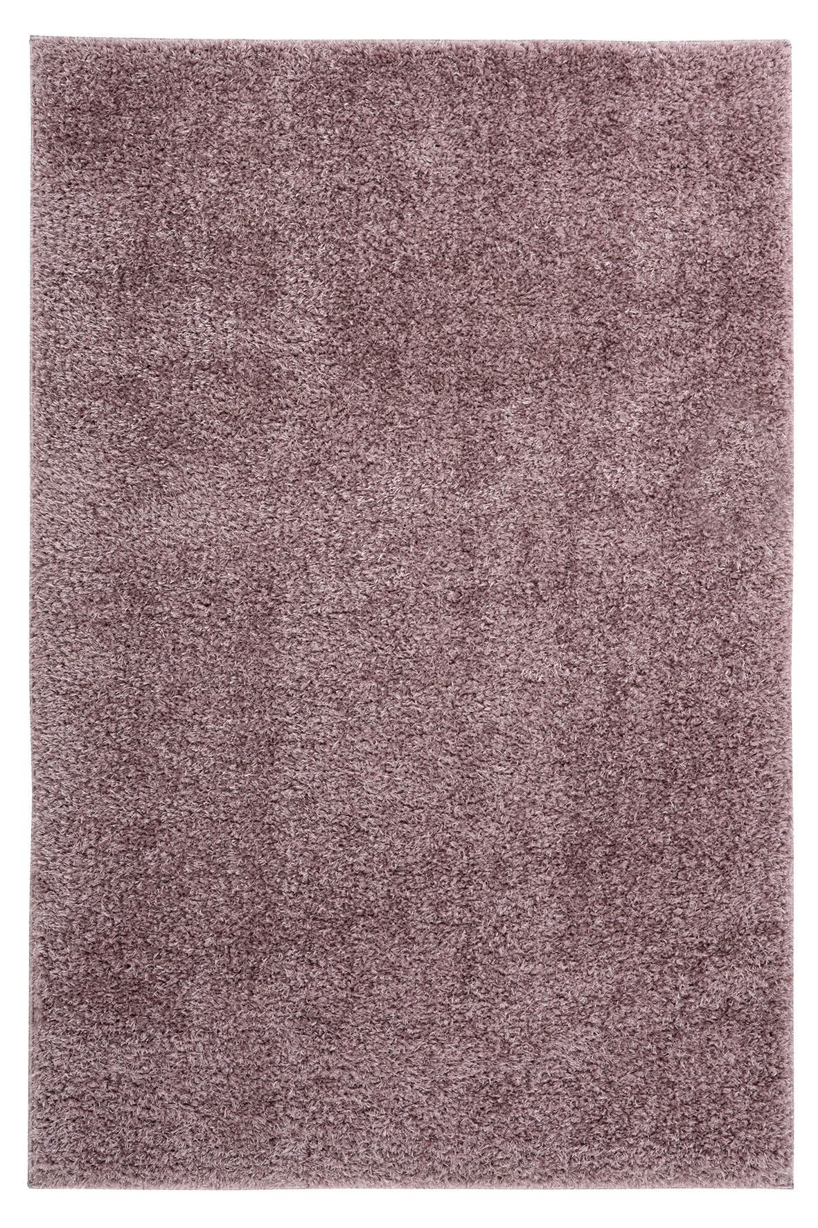 HOCHFLORTEPPICH 80/150 cm My Emilia  - Lila, Konventionell, Textil (80/150cm) - Novel