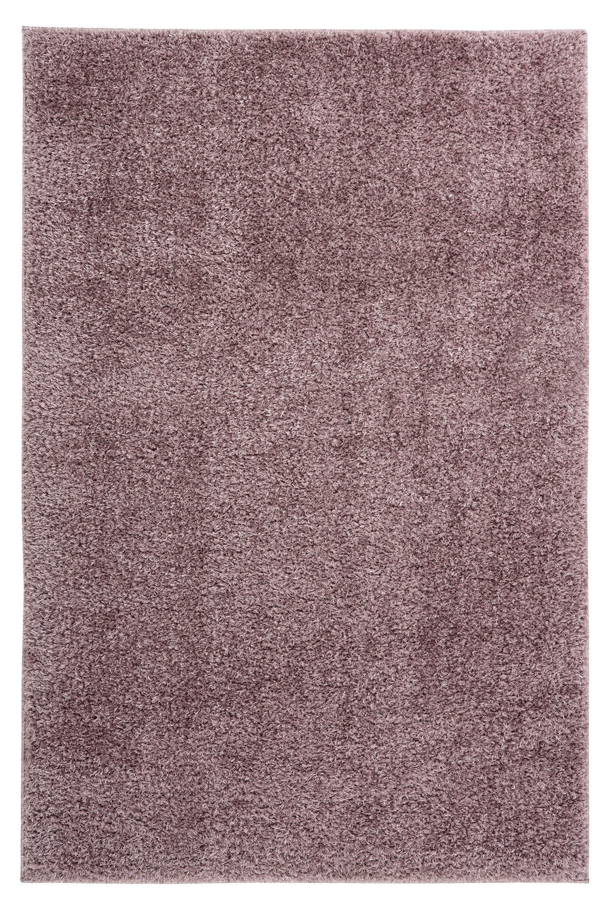 HOCHFLORTEPPICH 80/150 cm My Emilia  - Lila, Konventionell, Textil (80/150cm) - Novel