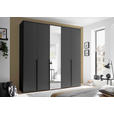 DREHTÜRENSCHRANK  in Graphitfarben  - Schwarz/Graphitfarben, MODERN, Glas/Holzwerkstoff (225/225/52cm) - Carryhome