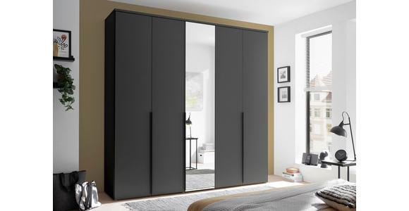 DREHTÜRENSCHRANK in Graphitfarben - Schwarz/Graphitfarben, MODERN, Glas/Holzwerkstoff (225/225/52cm) - Carryhome