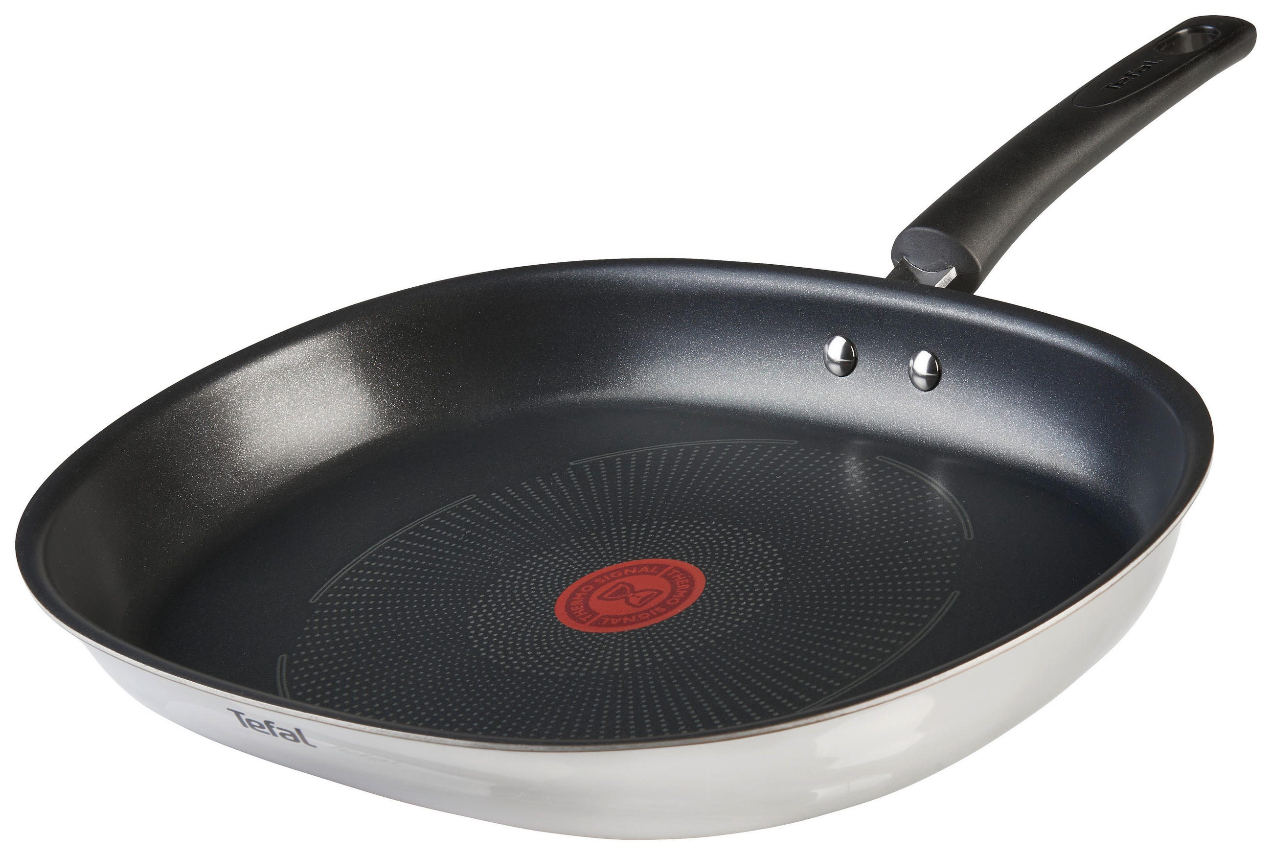 FISCHPFANNE Emotion  - Edelstahlfarben, Basics, Metall (46,8/37,5/6,5cm) - Tefal