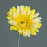 KUNSTBLUME - Gelb/Grün, Basics, Kunststoff/Textil (56cm) KUNSTBLUME - Gelb/Grün, Basics, Kunststoff/Textil (56cm)