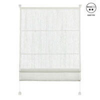 RIMSKI ZASTOR prozirno 100/140 cm   - prozirno, Basics, plastika (100/140cm) - Gardinia