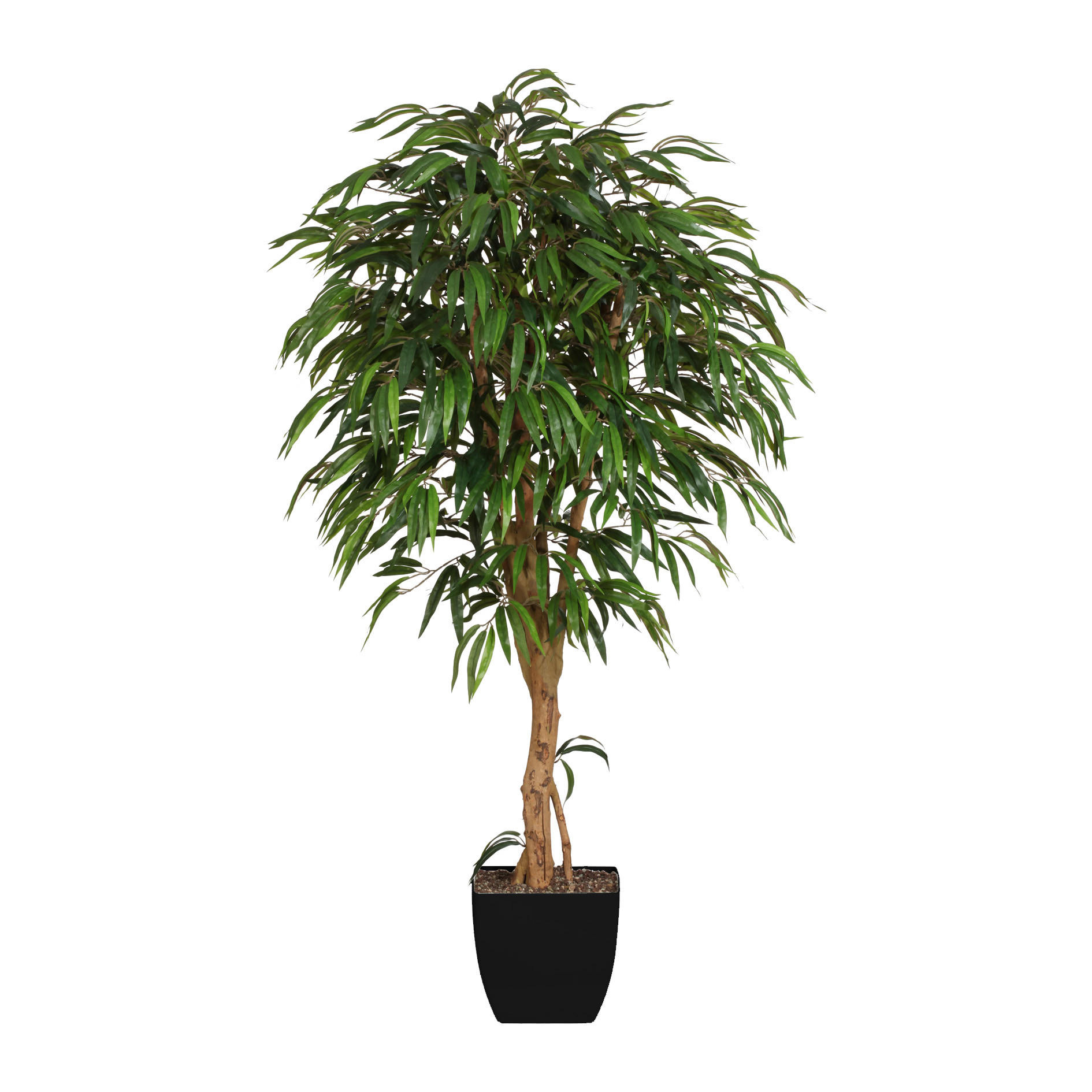 KUNSTPFLANZE 180 cm - Schwarz/Braun, Design, Naturmaterialien/Kunststoff (180cm) - P & B