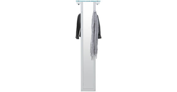 GARDEROBENPANEEL 52/195/35 cm - Alufarben, Design, Glas/Metall (52/195/35cm) - Dieter Knoll