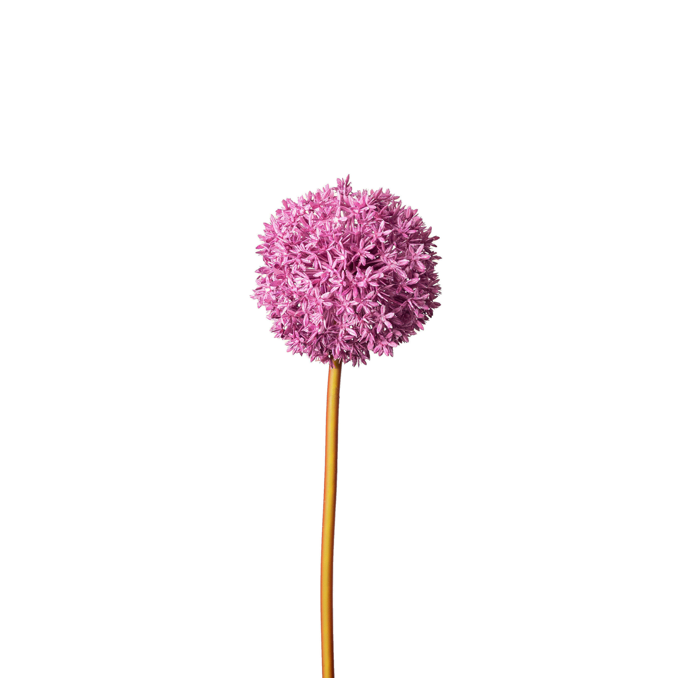 LUK (ALLIUM) - lila, Basics, umetna masa (90cm)