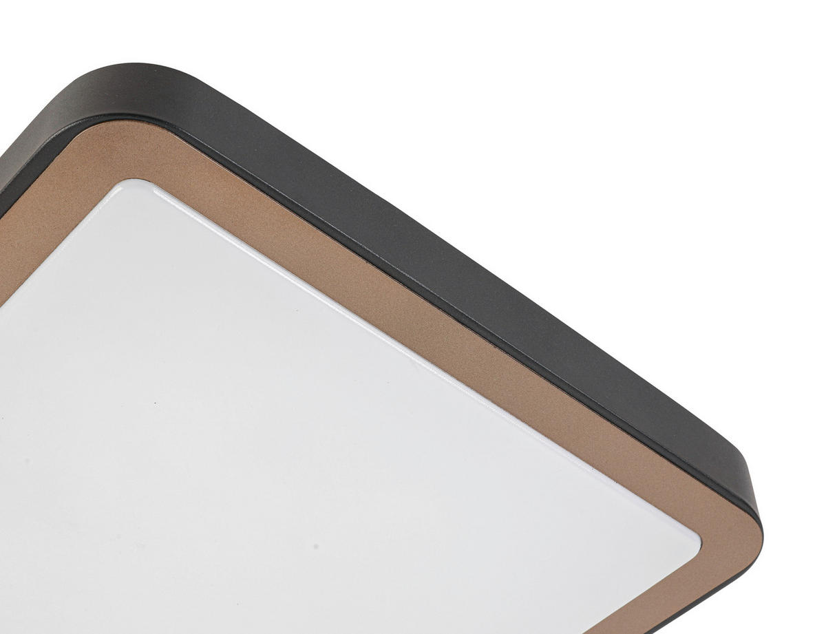 STROPNA LED-SVETILKA   24 W/2200 lm/3000 K/220-240 V/ - črna/bela, Basics, kovina/umetna masa (37/37/8cm) - Novel