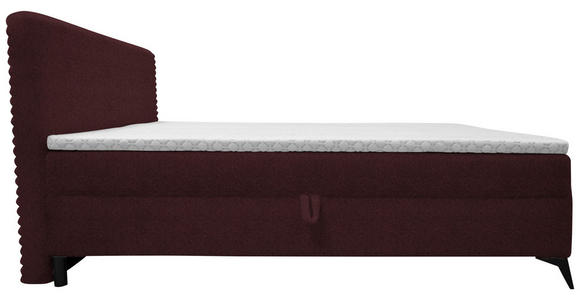 BOXBETT 160/200 cm in Beere - Beere/Schwarz, Design, Holz/Holzwerkstoff (160/200cm) - Xora