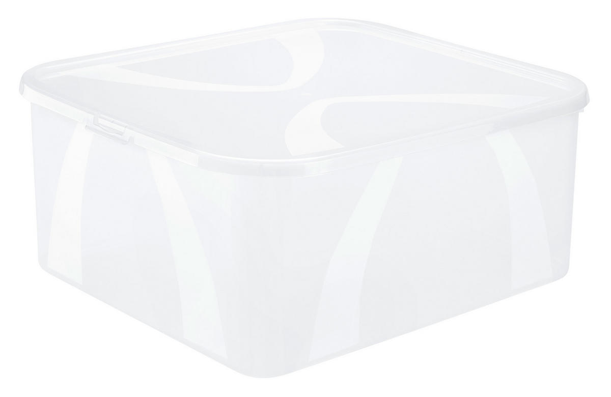 BOX MIT DECKEL    42/35/17 cm  - Transparent, KONVENTIONELL, Kunststoff (42/35/17cm) - Rotho