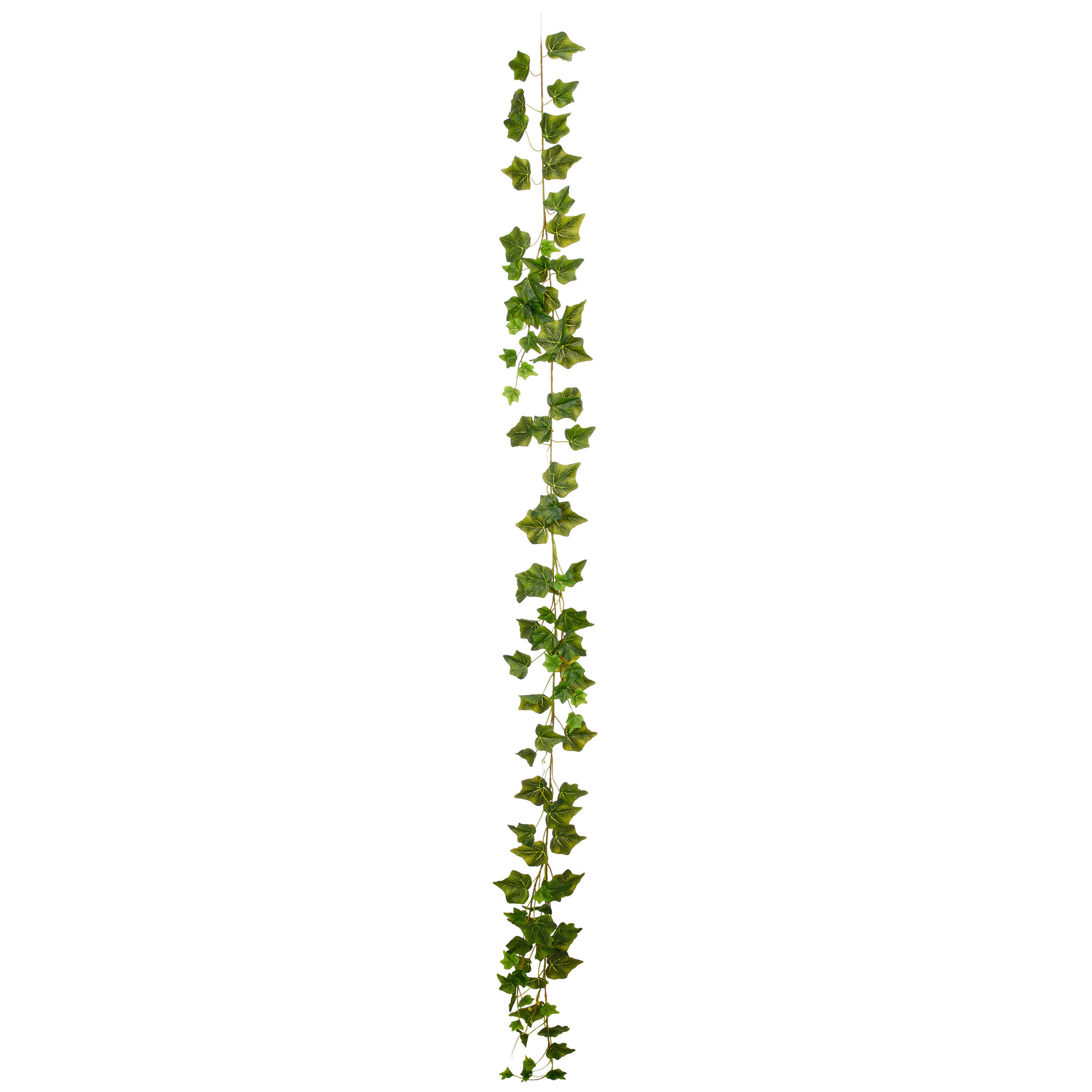 KUNSTPFLANZE Efeu  - Grün, Basics, Kunststoff (180cm)