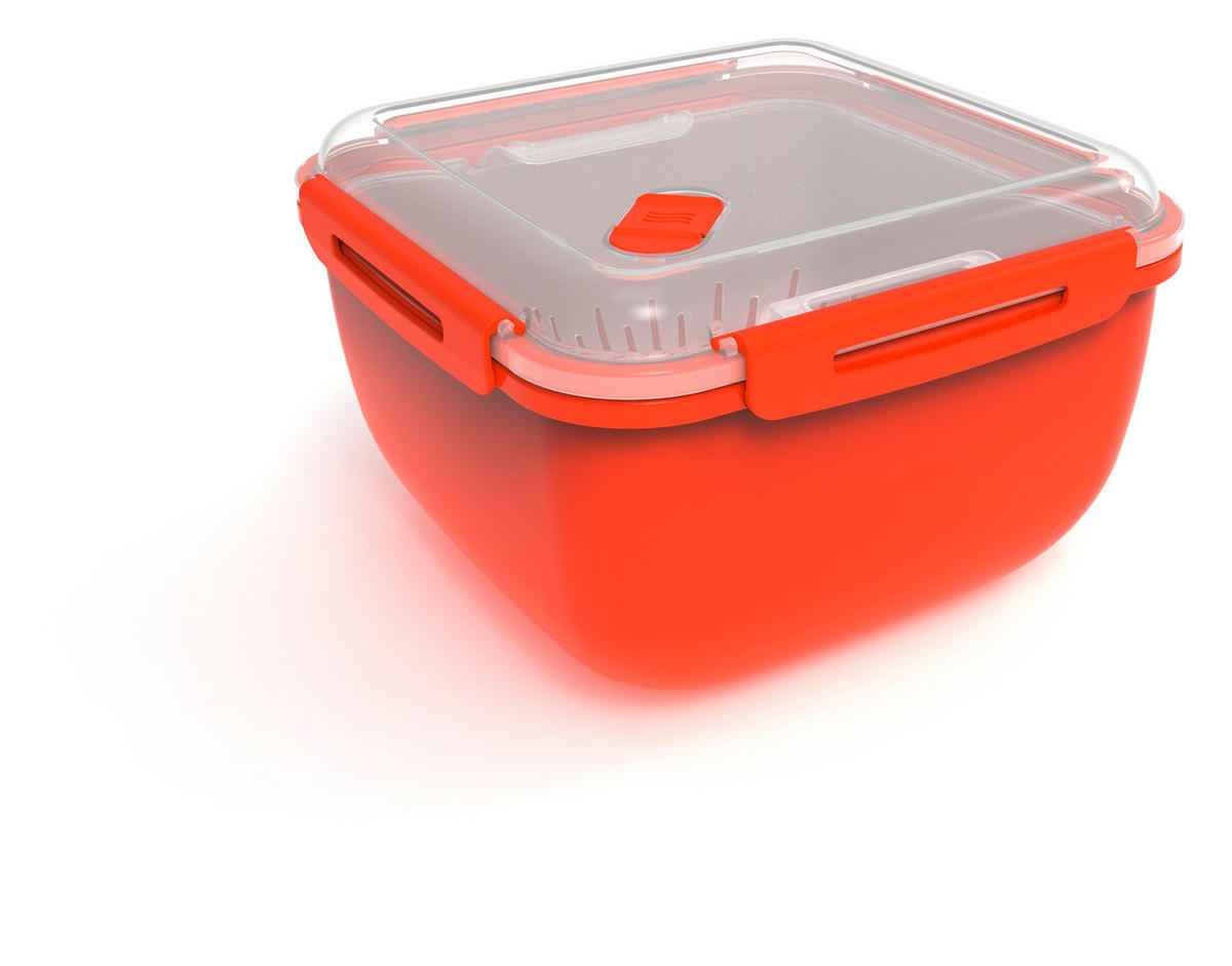 MIKROWELLENDOSE 2,5 l  - Transparent/Rot, Basics, Kunststoff (19,5/19,5/12,1cm) - Rotho