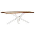 TISCHPLATTE      - Sheeshamfarben, Design, Holz (200/100/5cm) - Landscape