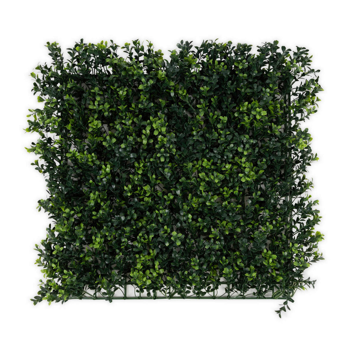 WANDVERKLEIDUNG  - Dunkelgrün, Trend, Kunststoff (50/50cm) - Floordirekt