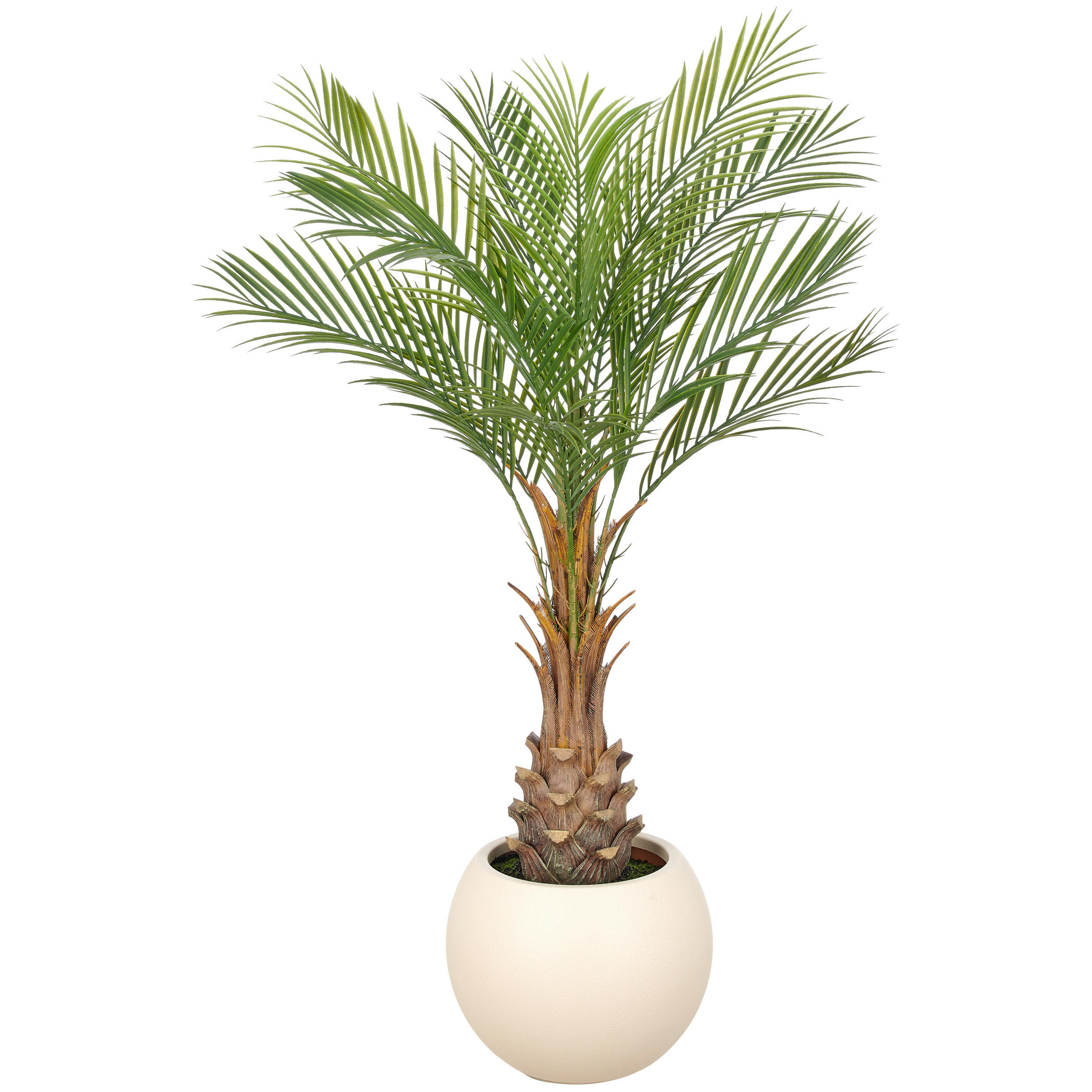 KUNSTPFLANZE Palme 125 cm  - Creme/Braun, Basics, Kunststoff (125cm)