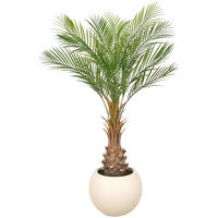KUNSTPFLANZE Palme 125 cm  - Creme/Braun, Basics, Kunststoff (125cm)