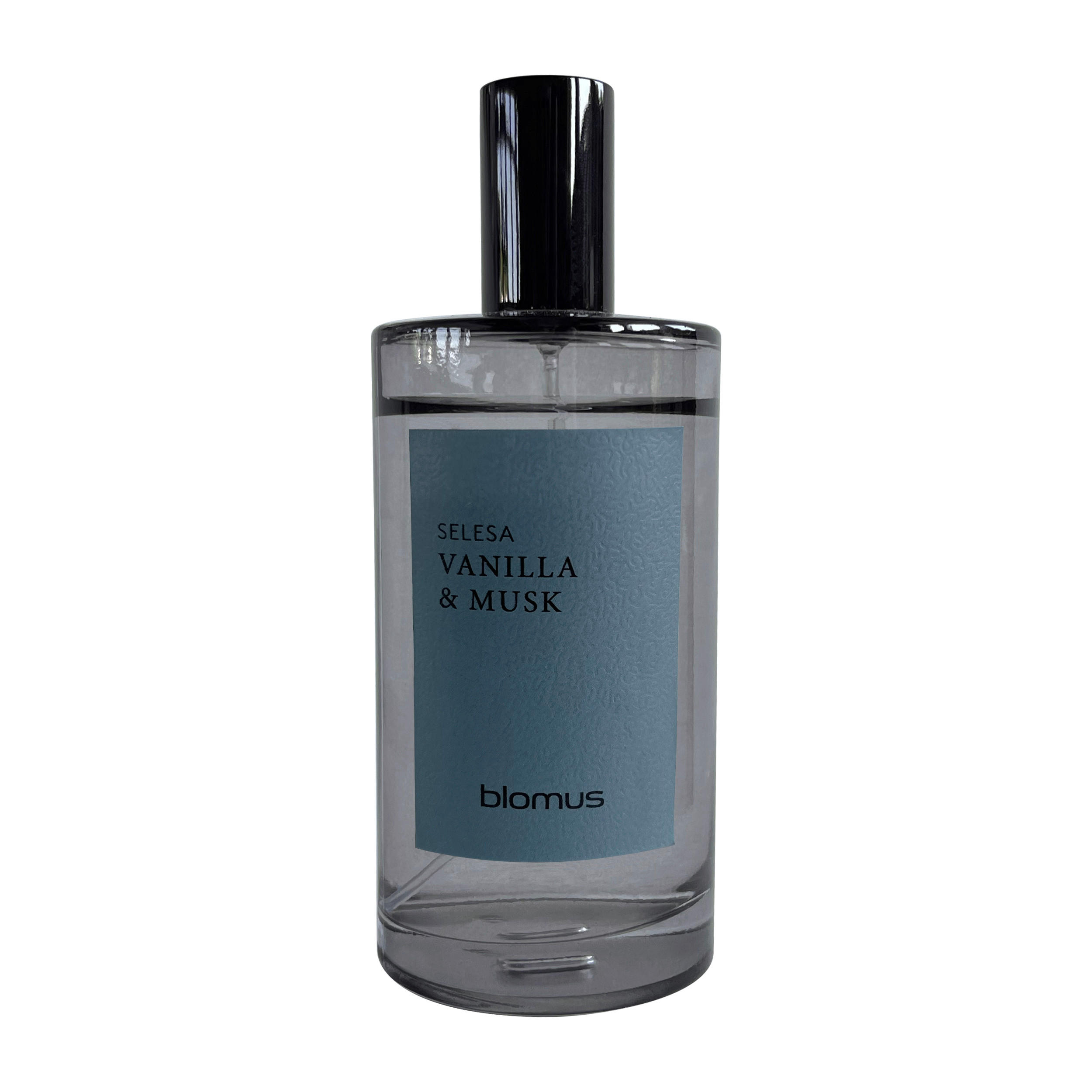 RAUMSPRAY SELESA  - Grau, Trend, Glas (5/13cm) - Blomus