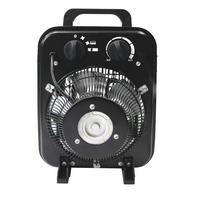 GEWÄCHSHAUSHEIZUNG Elektroheizung Vitavia 2KW  - Schwarz, Basics, Metall (20/34/23cm)