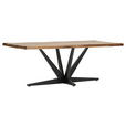 TISCHPLATTE      - Sheeshamfarben, Design, Holz (220/100/5cm) - Landscape