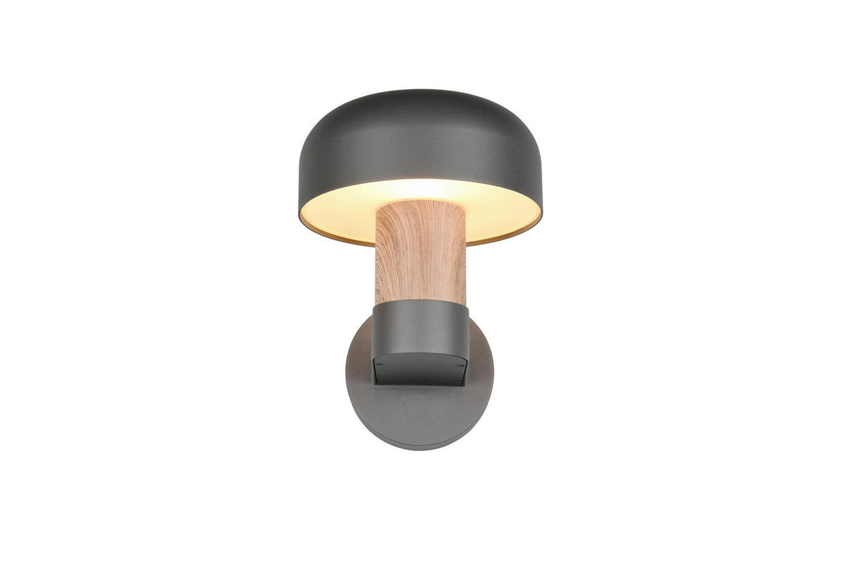 AUSSENWANDLEUCHTE - Anthrazit/Braun, Design, Metall (19/24,5/25cm) - Trio Leuchten