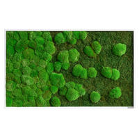 MOOSBILD  - Weiss/Grün, Basics, Naturmaterialien/Holz (100/60/7cm)