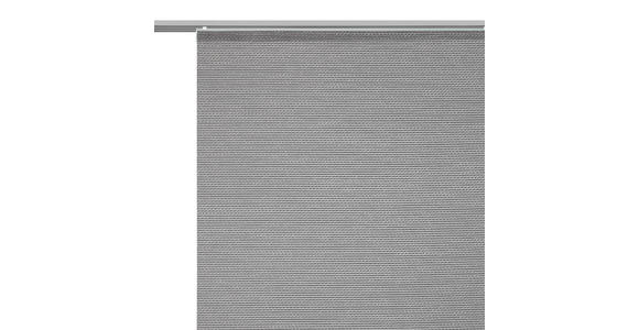 FLÄCHENVORHANG in Grau transparent  - Grau, Design, Textil (60/245cm) - Novel