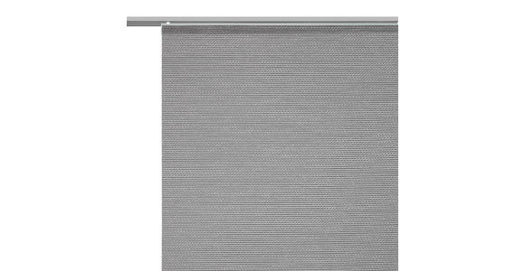 FLÄCHENVORHANG in Grau transparent - Grau, Design, Textil (60/245cm) - Novel
