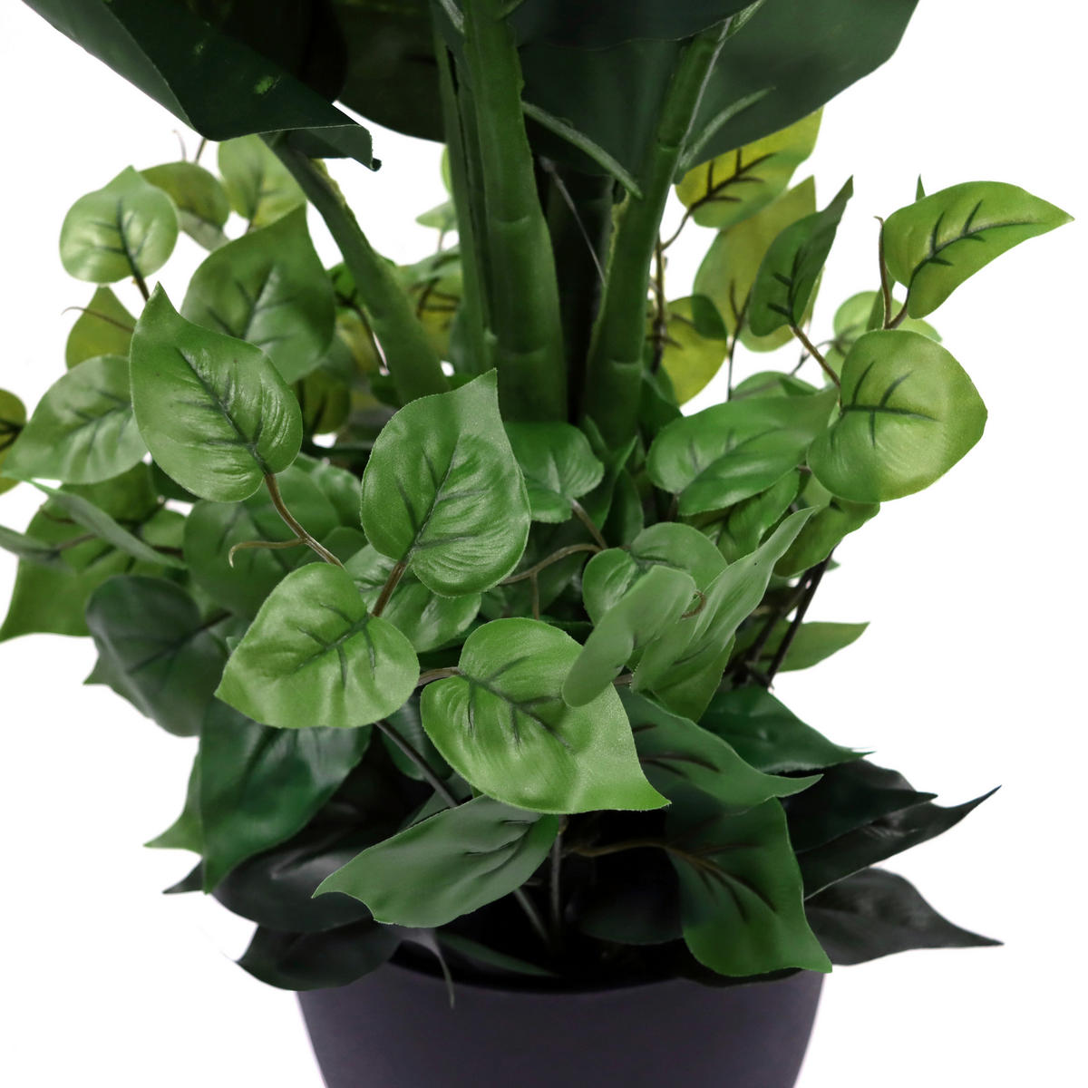 UMĚLÁ ROSTLINA mramornatka  - černá/zelená, Moderní, plast (42/80/33cm) - MID.YOU