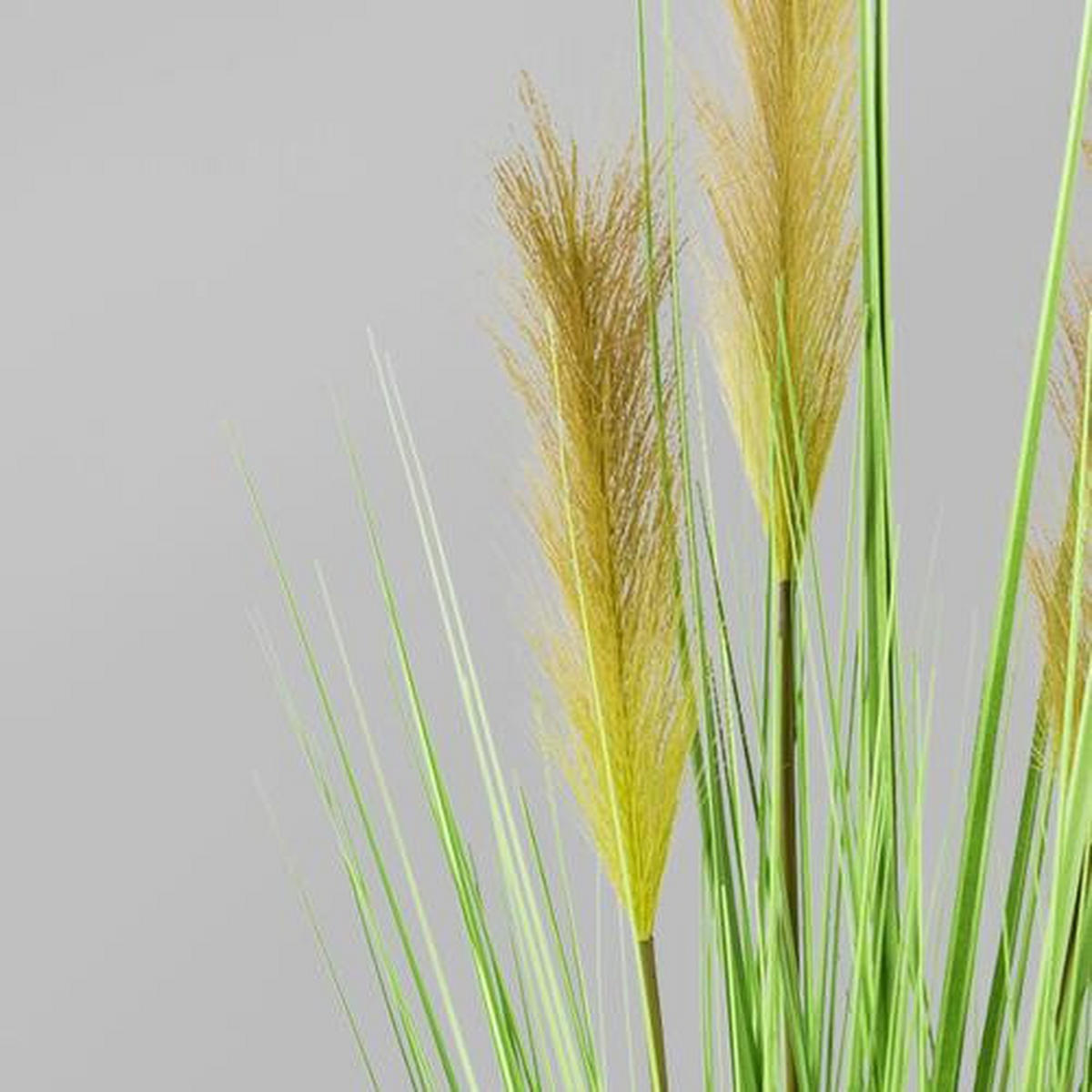 DEKOGRAS - Grün, MODERN, Kunststoff (150cm) - P & B