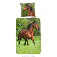 KINDERBETTWÄSCHE Renforcé 135/200 cm  - Grün, Textil (135/200cm)