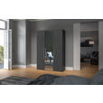 DREHTÜRENSCHRANK  in Anthrazit, Schwarz  - Edelstahlfarben/Anthrazit, Design, Glas/Holzwerkstoff (152/195/59cm) - Carryhome