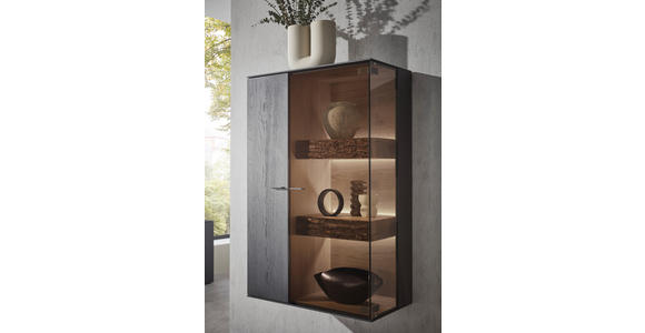WOHNWAND  in Anthrazit, Eichefarben  311/196/44 cm  - Eichefarben/Anthrazit, Design, Glas/Holz (311/196/44cm) - Valnatura