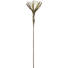 KUNSTBLUME - Braun/Grau, Basics, Kunststoff/Metall (108cm) - Ambia Home KUNSTBLUME - Braun/Grau, Basics, Kunststoff/Metall (108cm) - Ambia Home