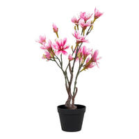 KUNSTPFLANZE Magnolie 75 cm  - Schwarz/Rosa, Basics, Kunststoff (75cm)
