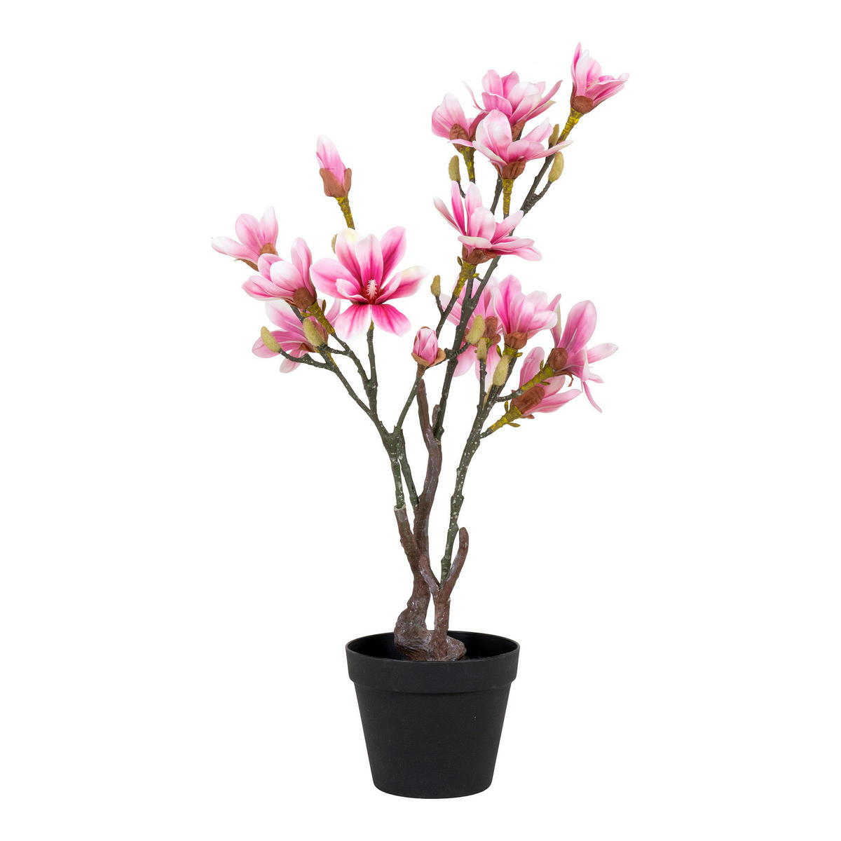 KUNSTPFLANZE Magnolie 75 cm  - Schwarz/Rosa, Basics, Kunststoff (75cm)