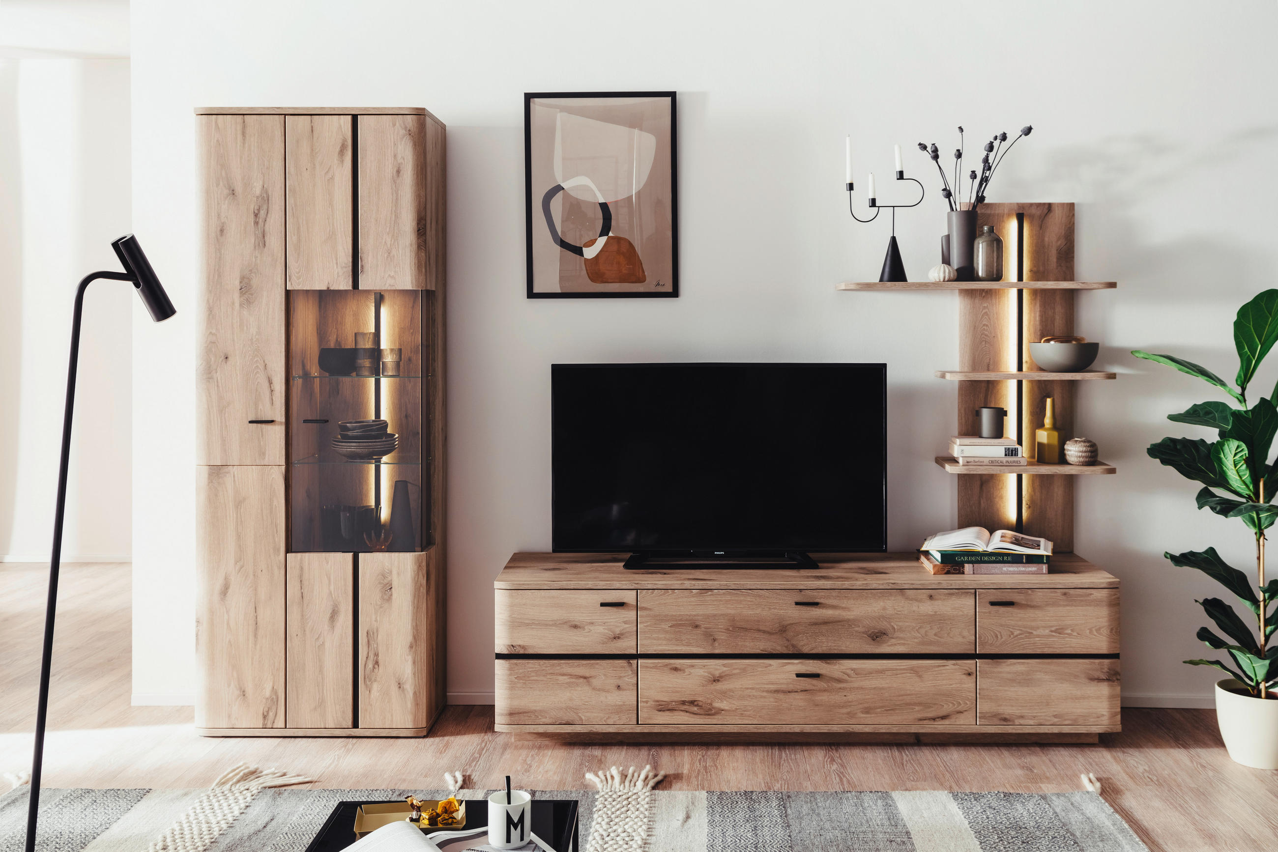 WOHNWAND  in Anthrazit, Eichefarben 285/208/50 cm  - Eichefarben/Anthrazit, Konventionell, Glas/Holzwerkstoff (285/208/50cm) - Cantus