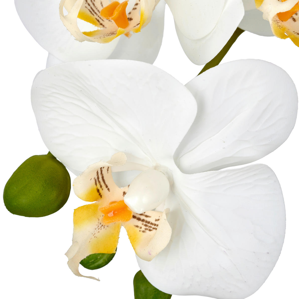 KUNSTBLUME Orchidee  - Weiß/Grün, Basics, Kunststoff (65cm)