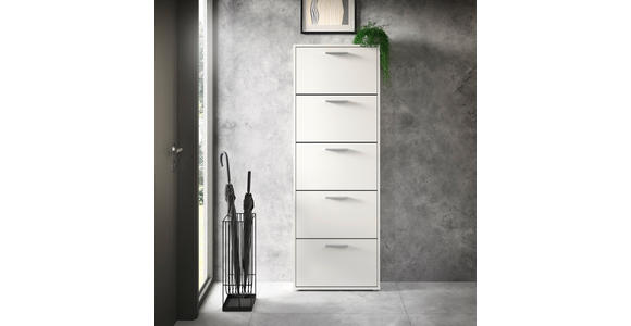 SCHUHKIPPER - Silberfarben/Weiß, Design, Holzwerkstoff/Kunststoff (59/169/17cm) - Carryhome