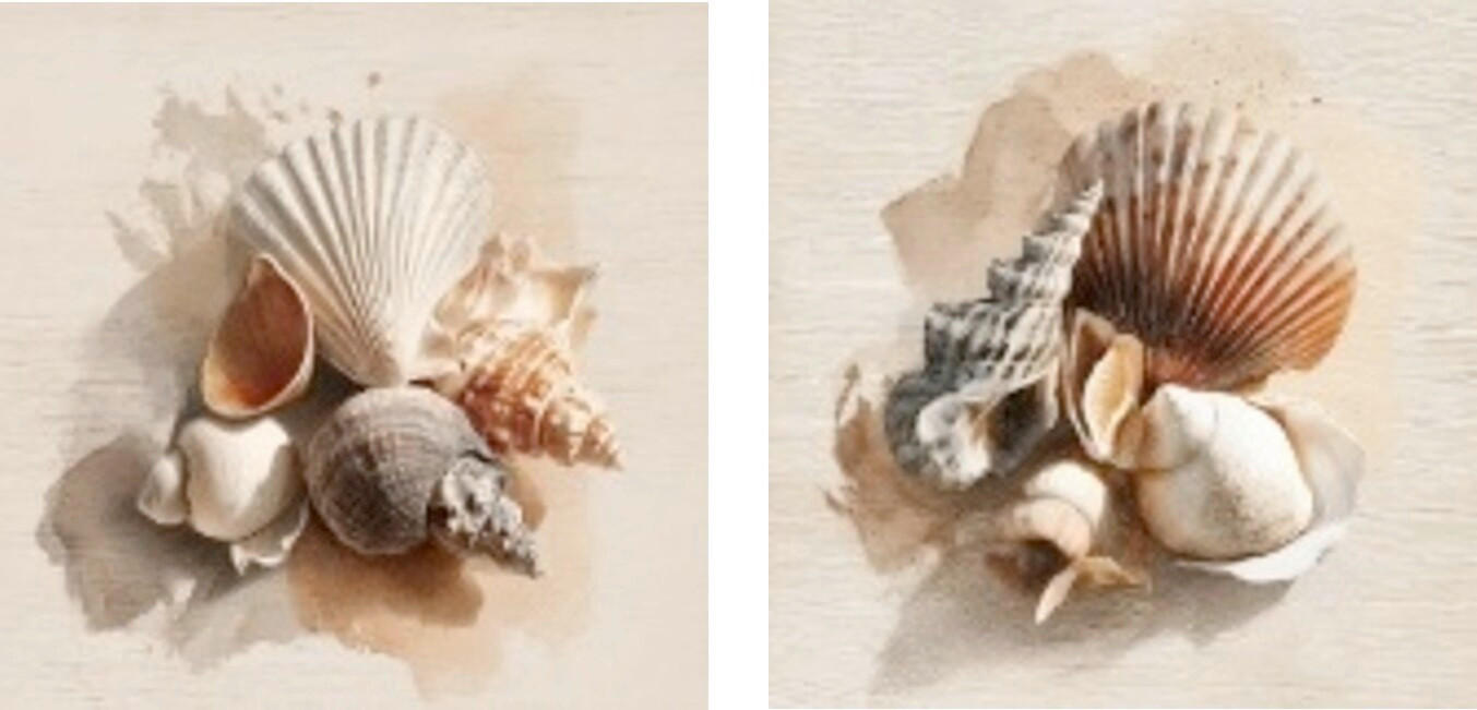 Euroart Glasbild Soft Seashells I Mehrfarbig 20x40x1.4 cm
