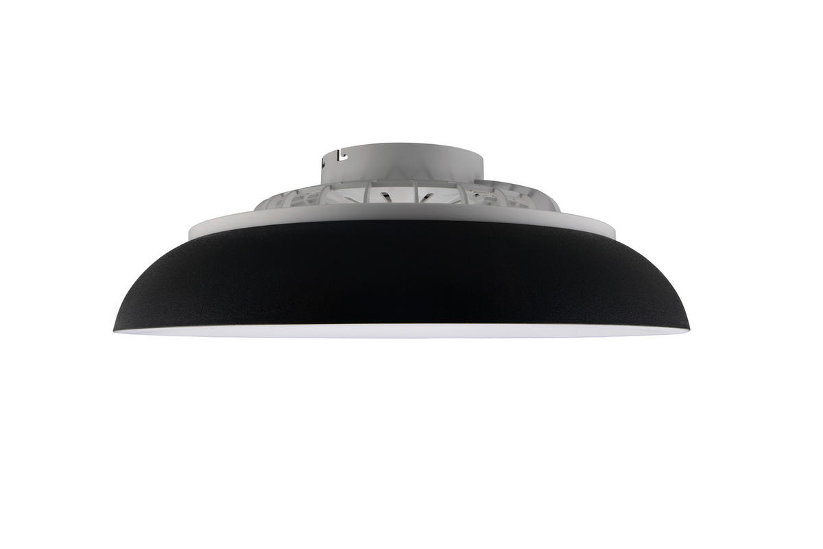 DECKENVENTILATOR - Klar/Schwarz, Design, Kunststoff (60/19.5cm) - Trio Leuchten