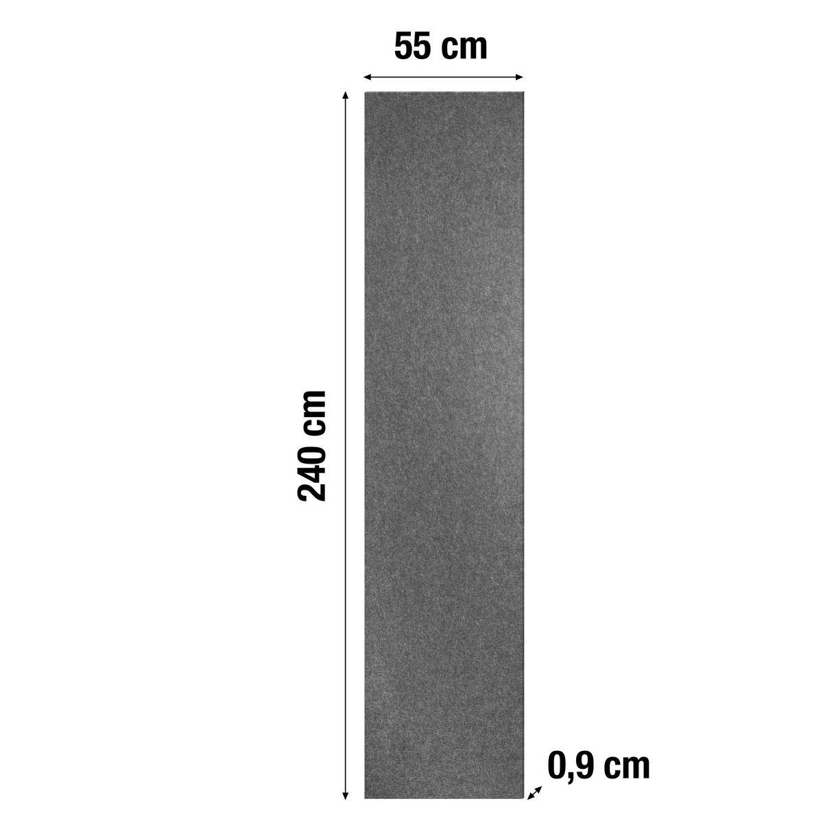 AKUSTIKPANEEL  - Anthrazit, Basics, Kunststoff (55/240/0,9cm)