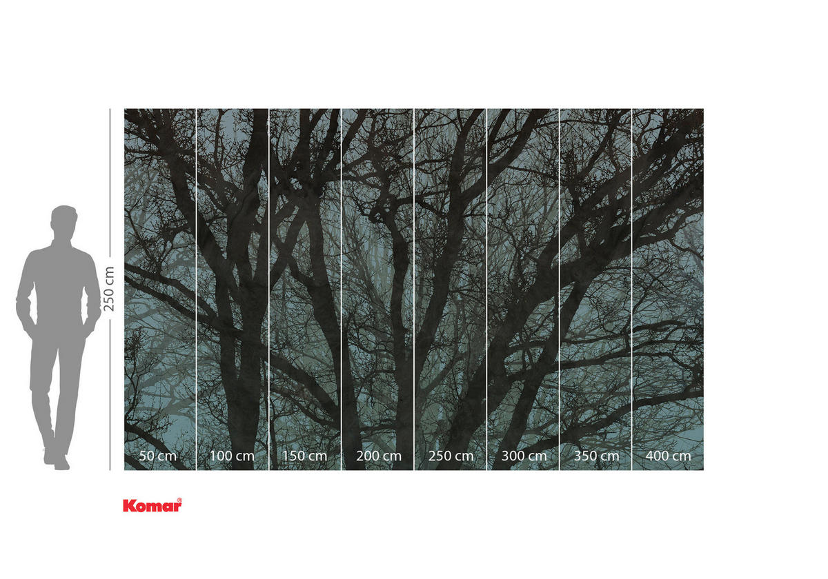 VLIESTAPETE 2,5 m  - Blau/Schwarz, Basics (400/250cm) - Xora