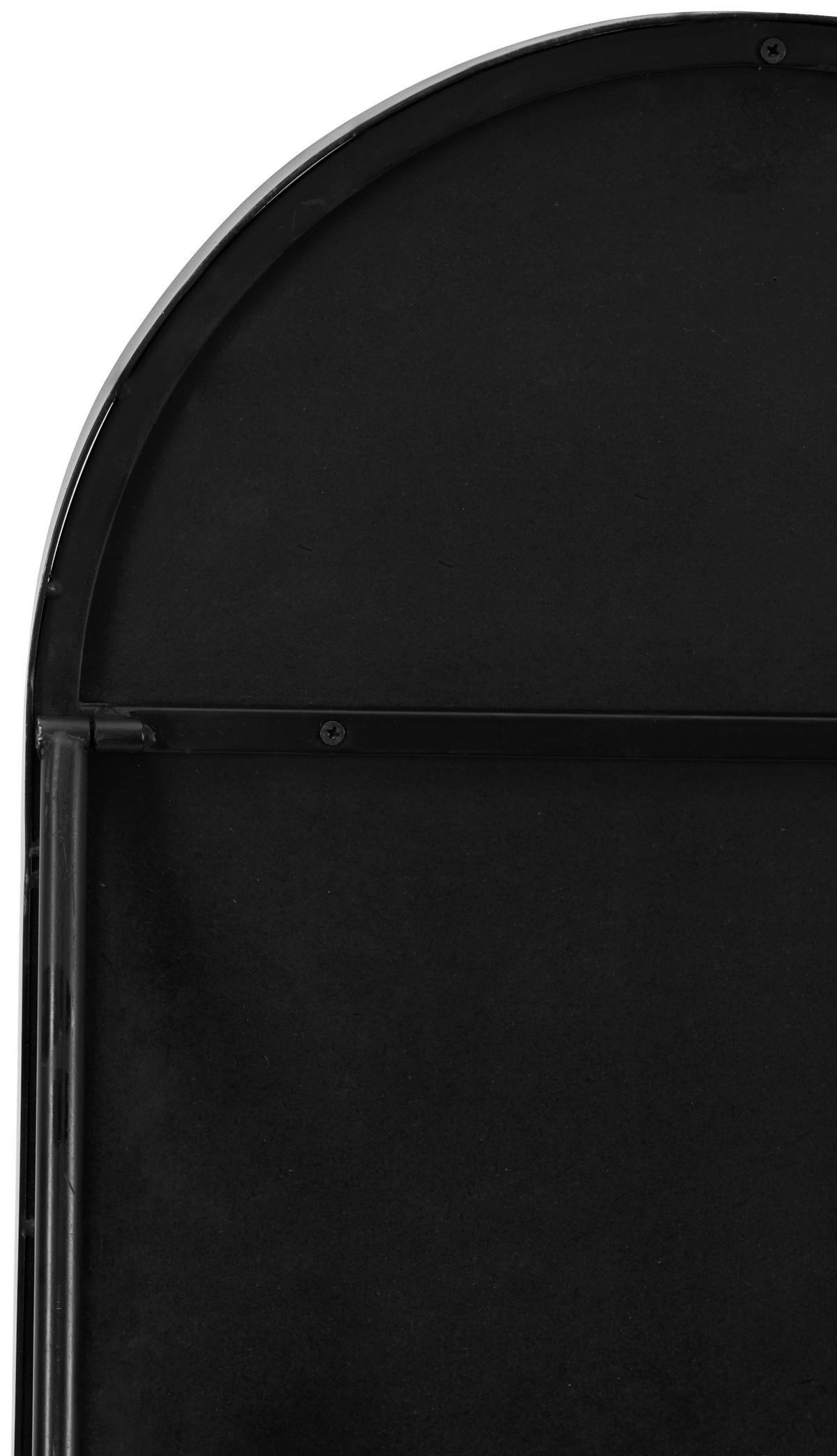 STANDSPIEGEL 41/160/4 cm  - Schwarz, Trend, Glas/Holzwerkstoff (41/160/4cm) - Landscape