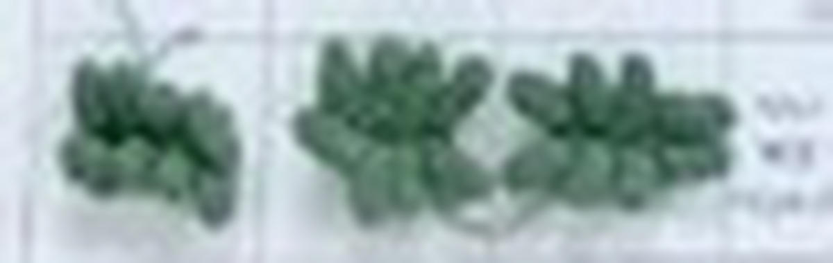 Covoraș De Baie   verde   - verde, Basics, plastic/textil (50/50cm) - Esposa