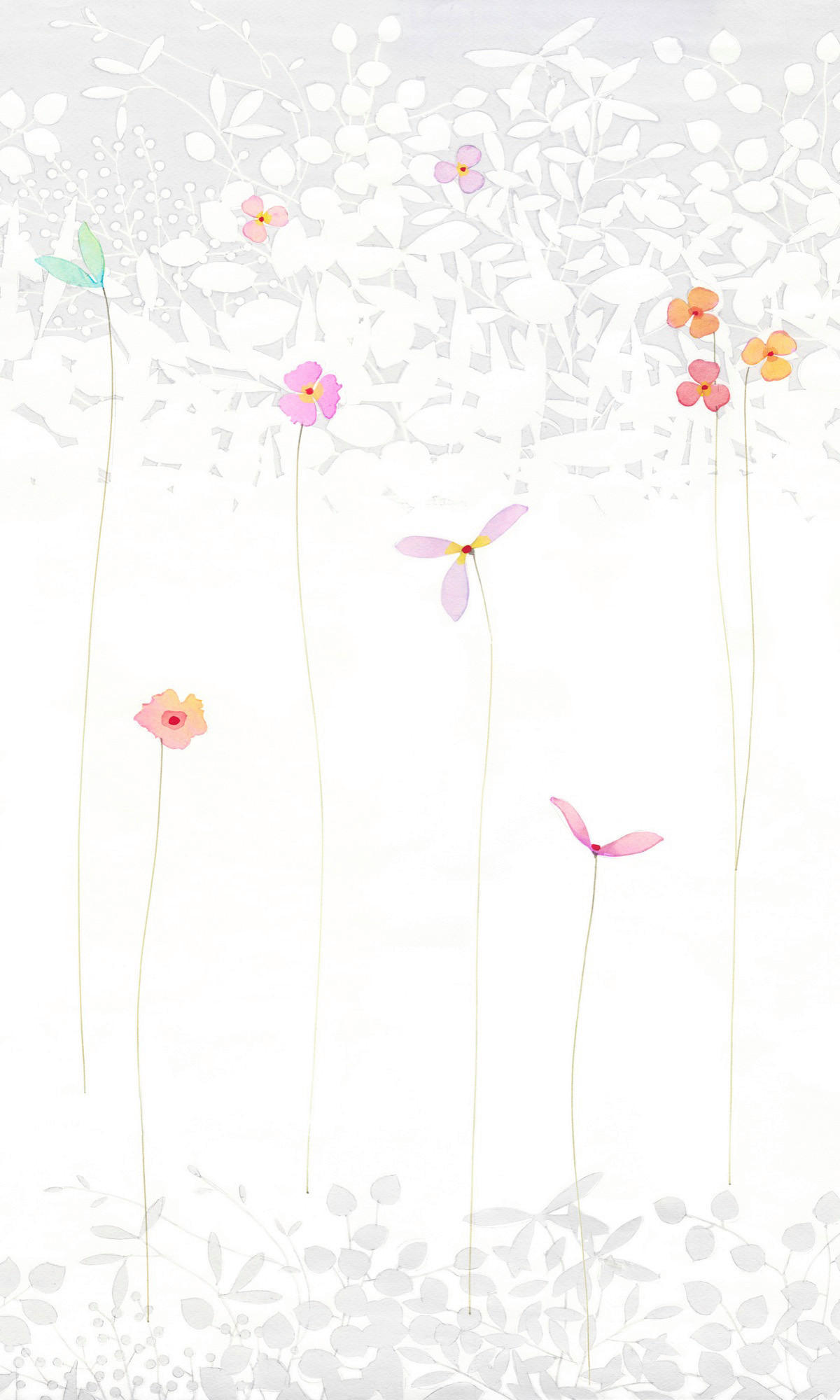 VLIESTAPETE  - Multicolor, Basics (150/250cm) - Xora