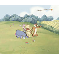 FOTOTAPETE WINNIE THE POOH ADVENTURE  - Naturfarben, Design, Textil (300/250cm) - Disney