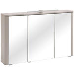 SPIEGELSCHRANK 101/64/21 cm  - Kaschmir/Alufarben, KONVENTIONELL, Glas/Holzwerkstoff (101/64/21cm) - Xora