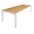 ESSTISCH Eiche furniert rechteckig Weiß, Eichefarben - Eichefarben/Weiß, Design, Holz (160/100/75cm) - Now by Hülsta ESSTISCH Eiche furniert rechteckig Weiß, Eichefarben - Eichefarben/Weiß, Design, Holz (160/100/75cm) - Now by Hülsta
