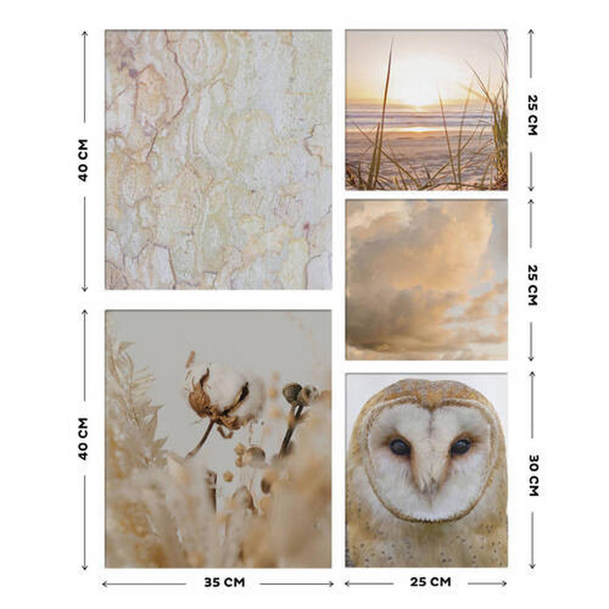 KEILRAHMENBILD Tiere, Strand & Meer, Wolken, Landschaft & Natur 60/80/3 cm  - Naturfarben, Basics, Wellpappe/Textil (60/80/3cm)