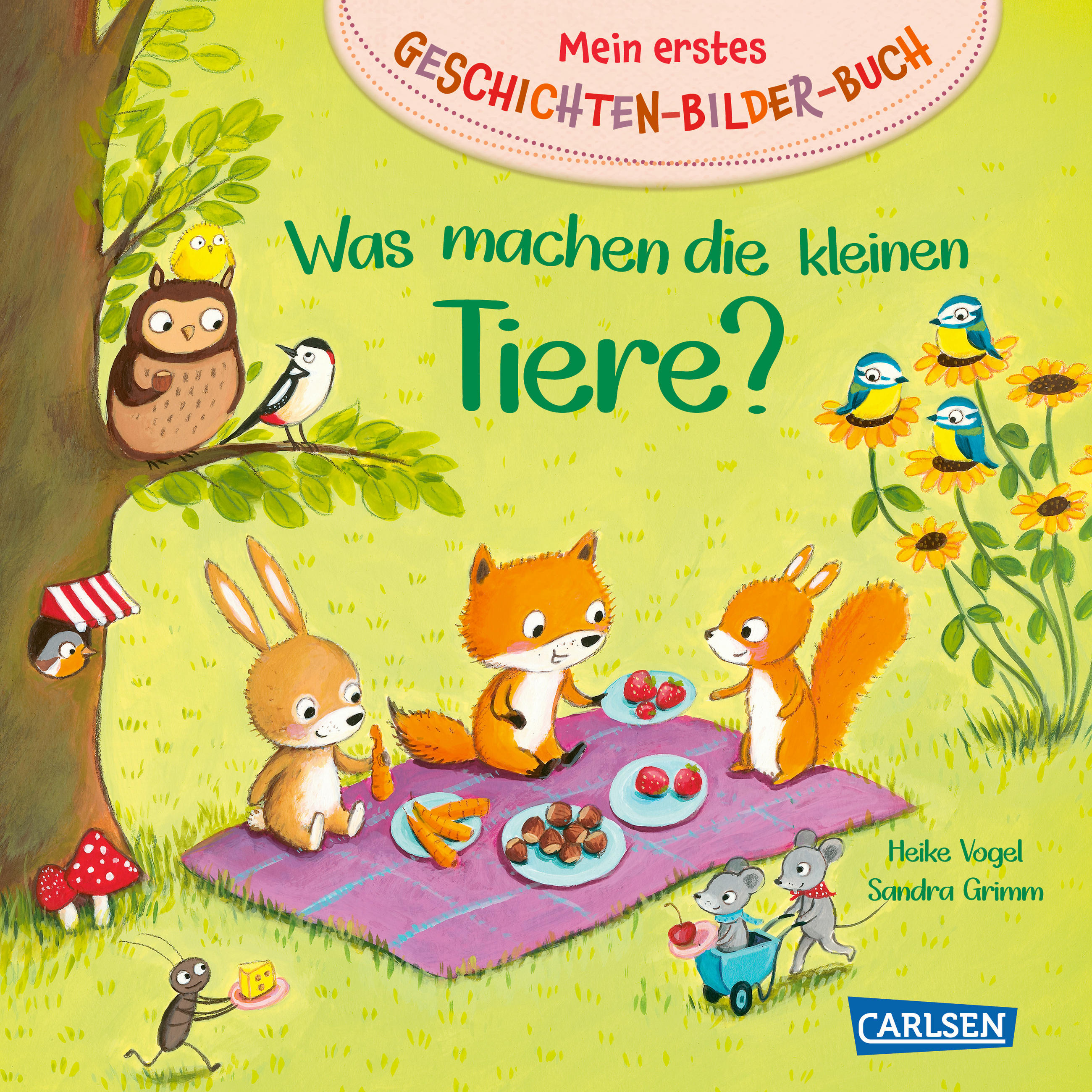 Carlsen Geschichten-Bilderbuch 20x20x1.35 cm